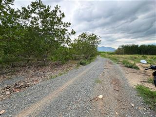 Cam an bắc  10.004m2  100 m ngang  full điều đã thu  giá chỉ 1 tỷ 900