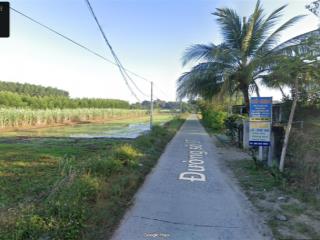 Mặt tiền đường nhựa số 7  11.500 m2  full xoài  giá chỉ 550 triệu/sào