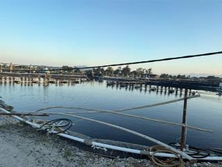 Tdp mỹ ca  bắc cam ranh  13.888 m2  144 m mặt tiền  cách sân bay 3km  giá 700 triệu/sào