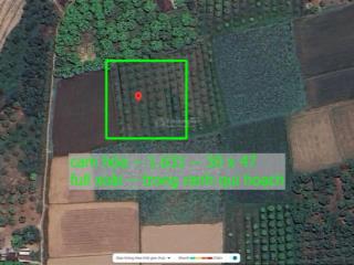 Lập định 1 xã cam hiệp  1.631 m2  30 x 47  full xoài giá chỉ 420 triệu.sào