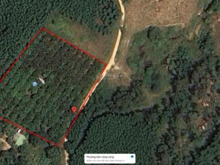 Quảng phúc  bắc cam ranh  5.290 m2  76m mặt tiền  full xoài  giá chỉ 2 tỷ 700