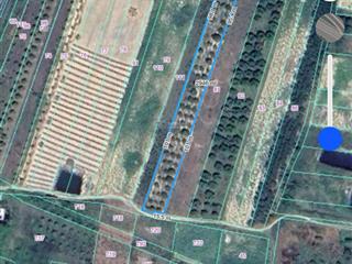 Vĩnh trung cam an  2927 m2  full xoài  giá chỉ 600 triệu.sào