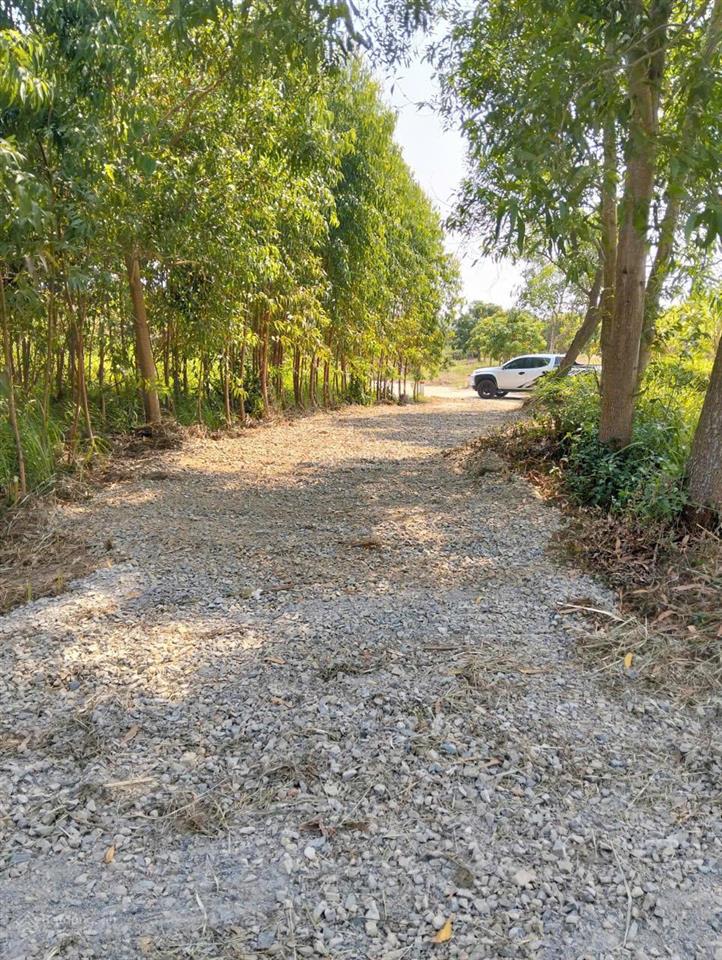 Hiền lương cam an 3.125 m2 giá chỉ 470 triệu/sào