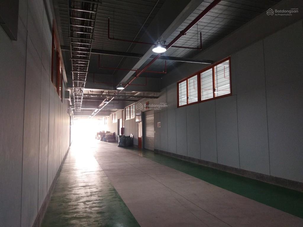 Cho thuê kho xưởng diện tích đa dạng trong khu nhà xưởng dịch vụ kizuna 3, cần giuộc, long an