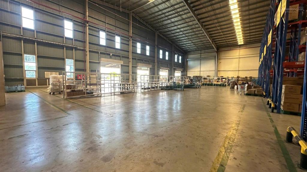 Cho thuê kho logistics 5000m2 tiêu chuẩn quốc tế