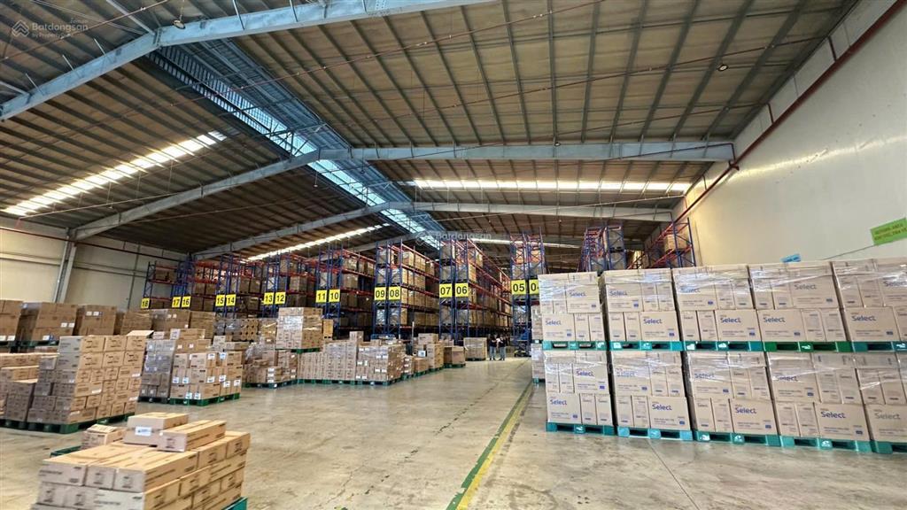 Cho thuê kho logistics 5000m2 tiêu chuẩn quốc tế