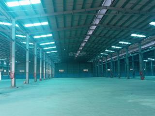 Cho thuê kho xưởng 13.000m2 tại bến lức, long an, giá tốt pccc tự động xe container 24/24