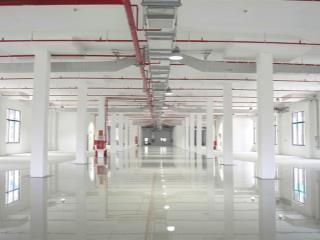 Cho thuê nhà xưởng cao tầng 4 tầng kcn phú an thạnh, bến lức, tây ninh