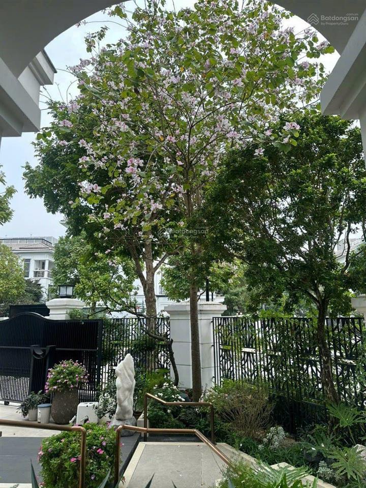 Siêu bt vinhomes riverside 380m2 nguy nga lộng lẫy đẳng cấp bể bơi ngoài trời, hầm rượu, sân vườn
