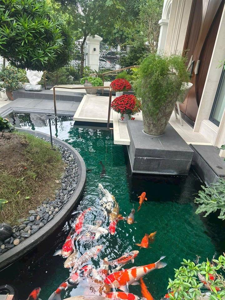 Siêu bt vinhomes riverside 380m2 nguy nga lộng lẫy đẳng cấp bể bơi ngoài trời, hầm rượu, sân vườn