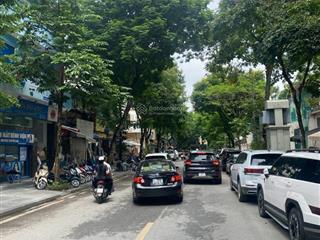 Cực hiếm siêu phẩm mặt phố hàm long 522m2 mặt tiền 23m. thông số vàng, giá 440tỷ