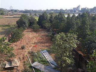 Chính chủ cho thuê đất trống 700m2 làm kho bãi xưởng hay chăn nuôi chúc sơn chương mỹ giá 2tr/th