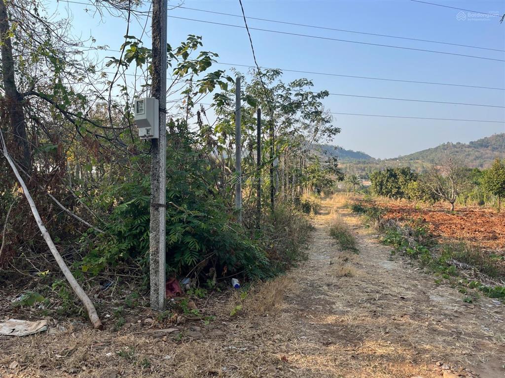 Bán đất hẻm cuối nguyễn thị định, 500 triệu, 500m2, view đẹp, uy tín. cách siêu thị go khoảng 4km