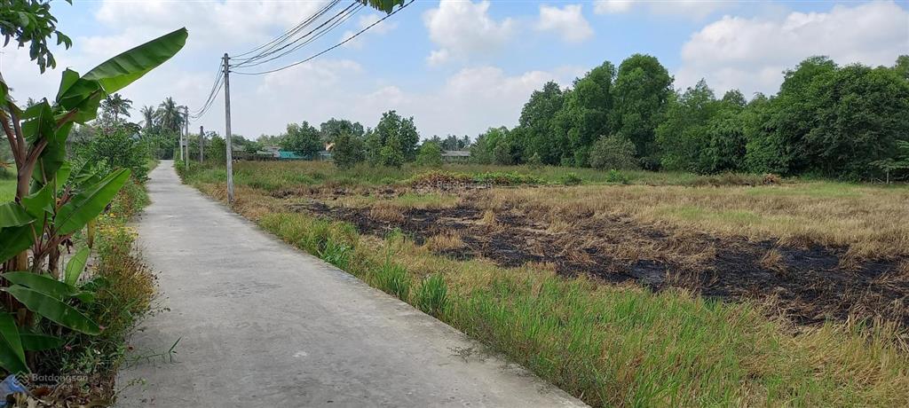 Đất thổ cư ngang 5m dài 50m tại xã tân bình, long an