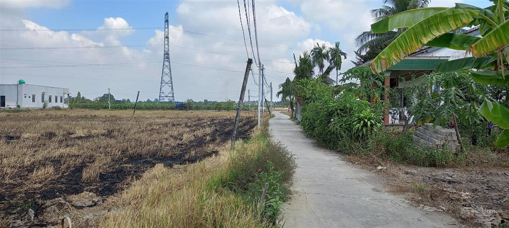 Đất thổ cư ngang 5m dài 50m tại xã tân bình, long an