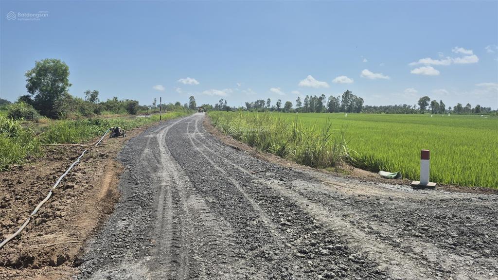 2500 m² đất nông nghiệp hai mặt tiền kênh trước và sau, đường ô tô tại xã long bình, tiền giang