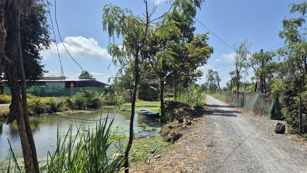 2500 m² đất nông nghiệp hai mặt tiền kênh trước và sau, đường ô tô tại xã long bình, tiền giang