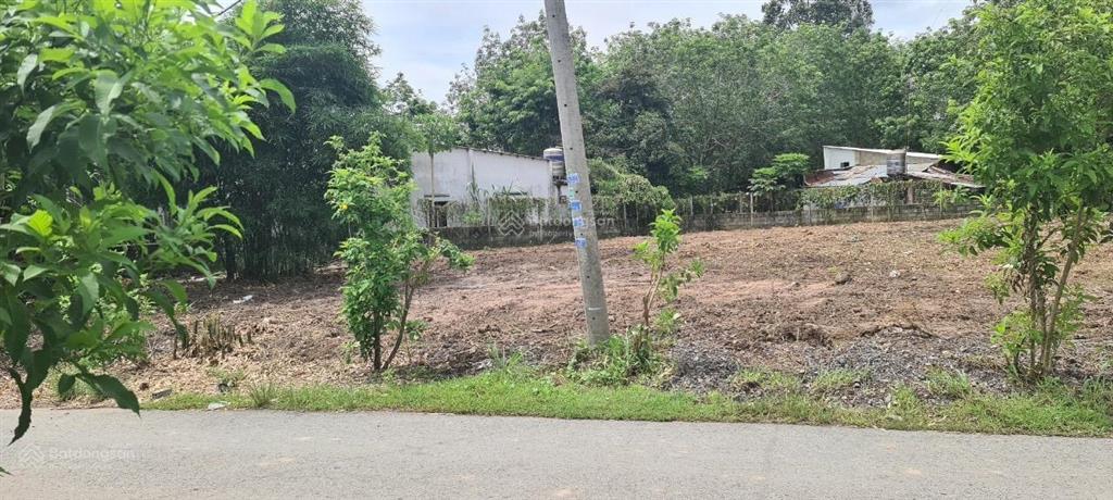Đất mặt tiền an nhơn tây  1.643,6m2  ngang 51m  300m2 thổ cư  10,3 tỷ tl