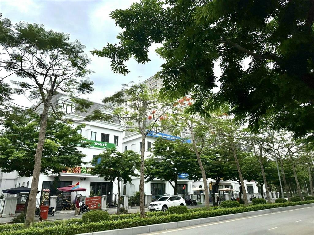 Cho thuê biệt thự dương nội hà đông  ưu đãi khủng