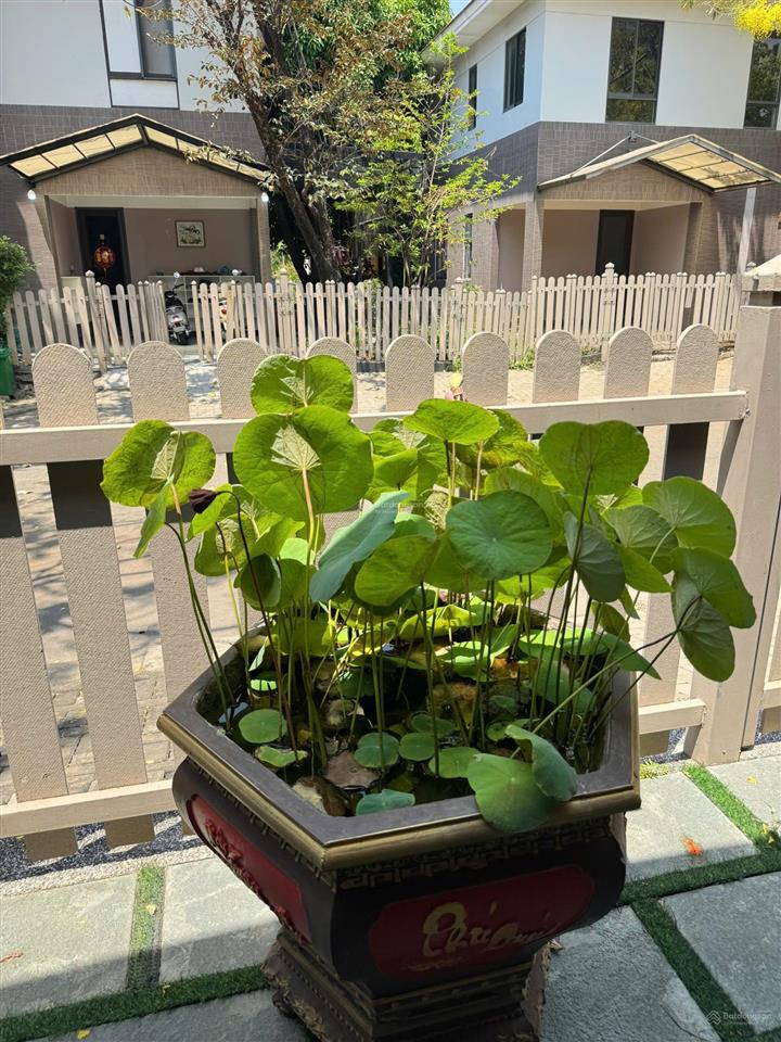 Cho thuê biệt thự valora kikyo 162,5m2 1 trệt 1 lầu full nội thất, nhận nhà ở ngay,  0388 668 ***