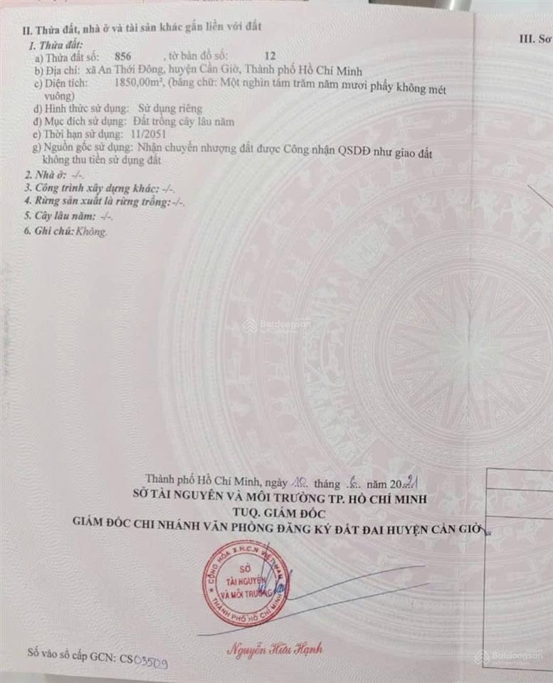 Bán đất 2 mặt tiền đường ôtô xã an thới đông huyện cần giờ tphcm