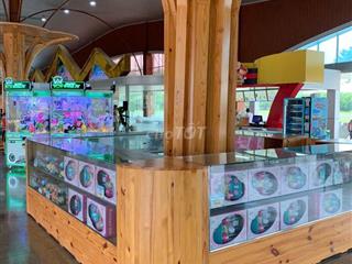 CHO THUÊ KIOSK BÁN HÀNG TRONG KHU DU LỊCH SƠN TIÊN