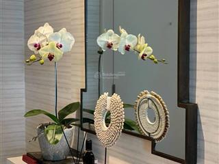 Vista verde 1pn diện tích cực lớn 60m, view nội khu cực đẹp