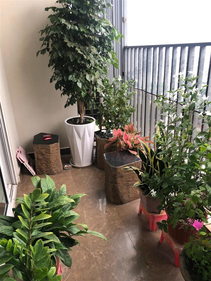 2pn full nt, tất cả phòng view sông, căn góc. siêu hiếm có bán.