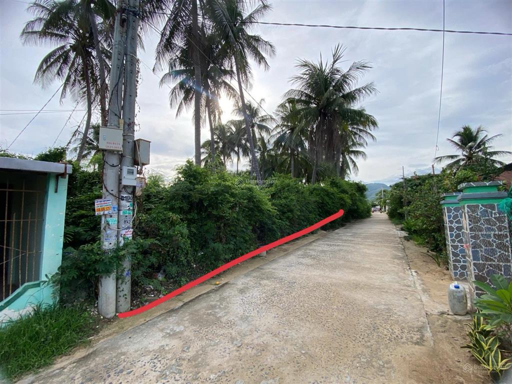 Cần bán gấp đất ở 896m2,100m ont cách biển 100m vạn hưng vạn ninh khánh hoà 30tr/m  0985 807 *** vy