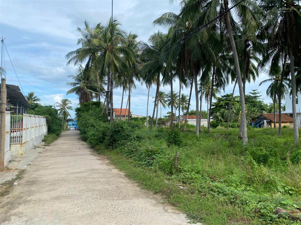 Cần bán gấp đất ở 896m2,100m ont cách biển 100m vạn hưng vạn ninh khánh hoà 30tr/m  0985 807 *** vy