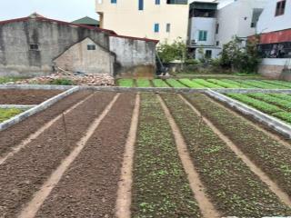 Chính chủ bán đất chương dương, sát dự án vin olympic