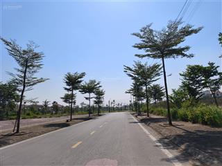 Bán đất tại đình tổ, thuận thành, bắc ninh, 46 triệu/m2, 85.6m2, giá siêu hời