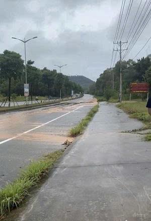 Chính chủ hạ giá bán gấp 827m2 đất sẵn sổ mặt tiền tt suối lớn  dương tơ