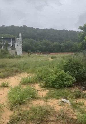 Chính chủ hạ giá bán gấp 827m2 đất sẵn sổ mặt tiền tt suối lớn  dương tơ