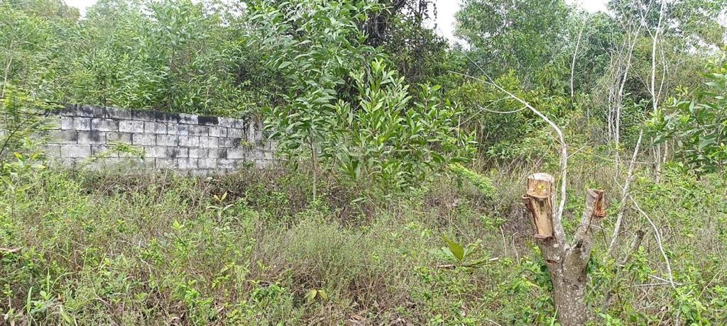 Chính chủ hạ giá bán gấp 827m2 đất sẵn sổ mặt tiền tt suối lớn  dương tơ