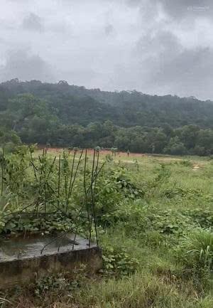 Chính chủ hạ giá bán gấp 827m2 đất sẵn sổ mặt tiền tt suối lớn  dương tơ