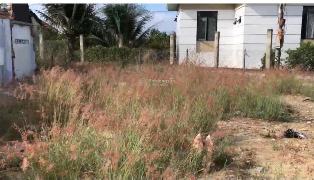 Chính chủ bán đất thổ cư sẵn sổ mặt tiền 10m tại diên điền