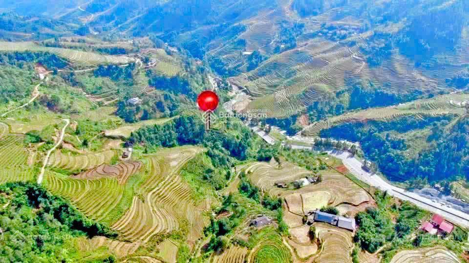 Chính chủ bán hơn 1,6ha đất ngay mt quốc lộ 4d  ngay cầu 31