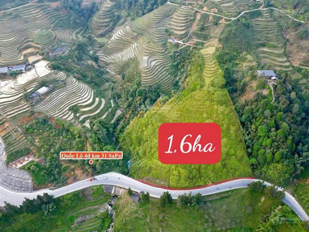 Chính chủ bán hơn 1,6ha đất ngay mt quốc lộ 4d  ngay cầu 31