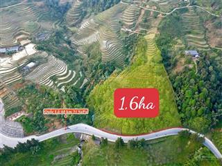 Chính chủ bán hơn 1,6ha đất ngay mt quốc lộ 4d  ngay cầu 31