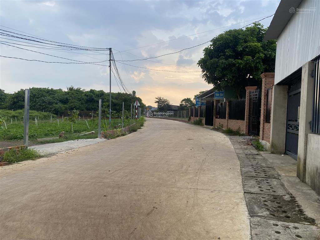 Chính chủ bán 9300m2 đất sẵn sổ mặt tiền, xã lộ 25  thống nhất