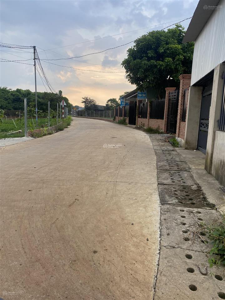 Chính chủ bán 9300m2 đất sẵn sổ mặt tiền, xã lộ 25  thống nhất