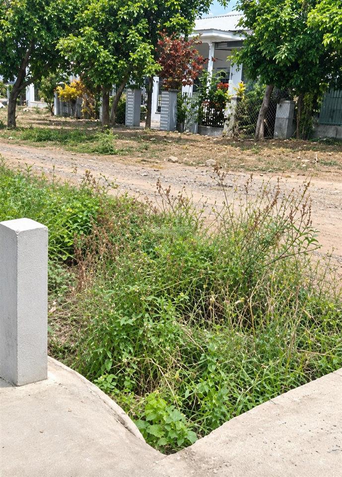 Sở hữu 5400m2 full thổ cư sẵn sổ giá chỉ 1,2tr hiếm có ngay quốc lộ 26  ninh hòa