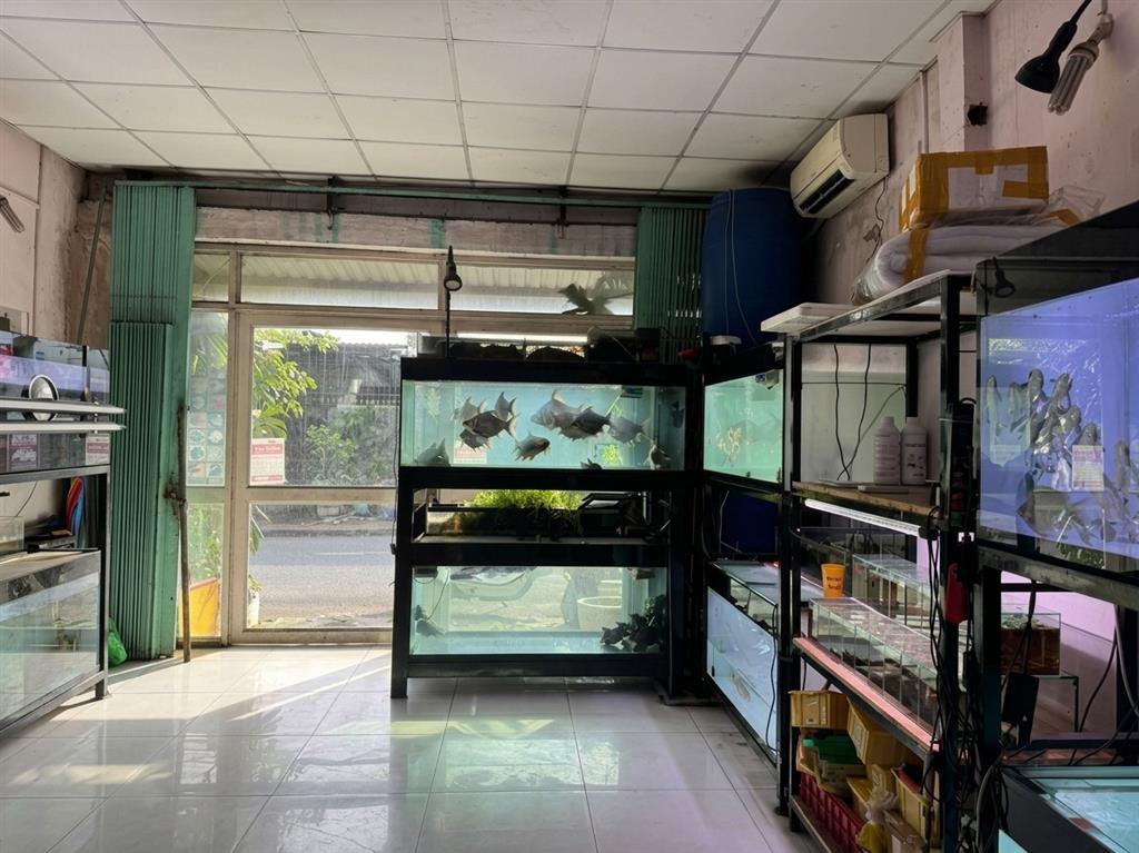 [D2896] Nhà M.Tiền K.Doanh gần BV Hoàn Mỹ Thủ Đức, 5.x tỷ