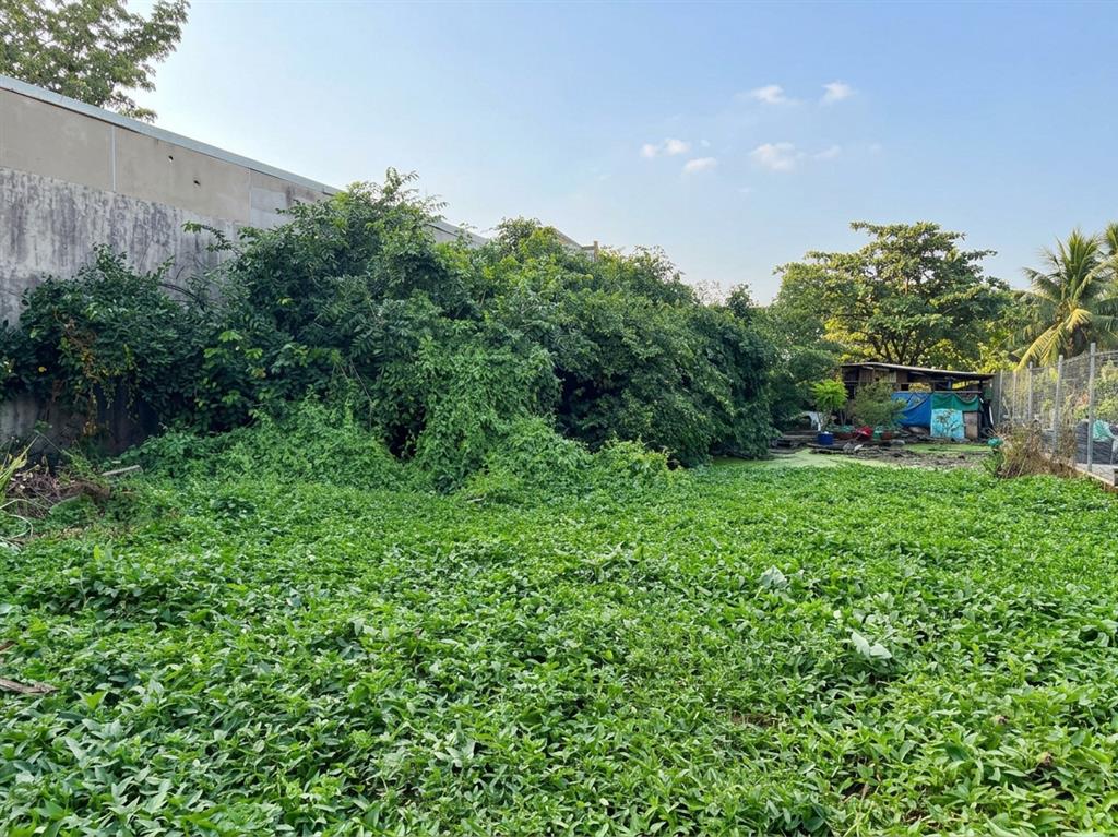 [D3127*] Giảm mạnh 3 tỷ, đất vuông A4 656m2 (15x44m) cạnh Chợ Nông Sản QL1A, 3x tỷ
