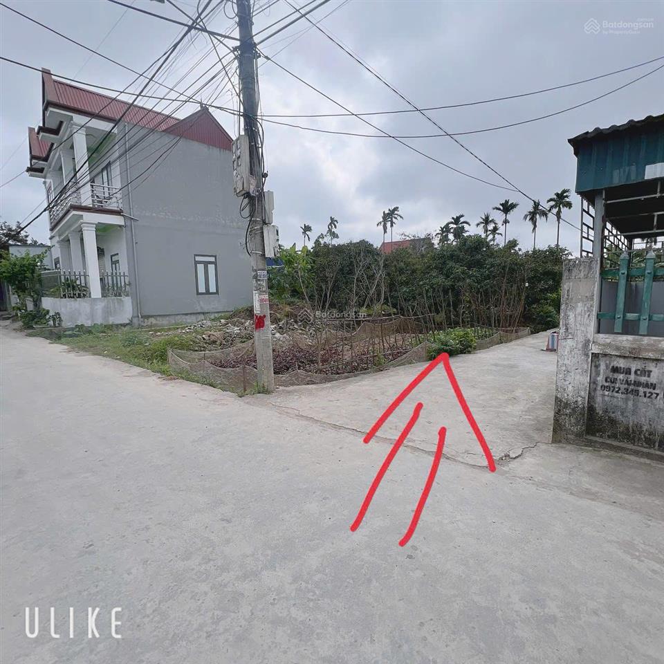 Bán đất an lão, hải phòng, giá rẻ nhất thị trường, sổ đỏ sẵn, gần trường, trung tâm xã