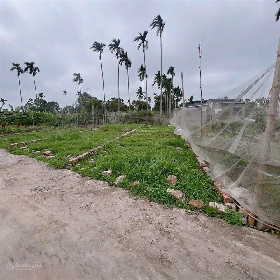 Bán đất an lão, hải phòng, giá rẻ nhất thị trường, sổ đỏ sẵn, gần trường, trung tâm xã