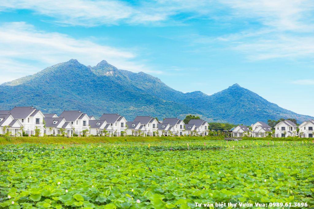 Nhà em cần bán lô biệt thự vườn vua hơn 300m2 mặt hồ