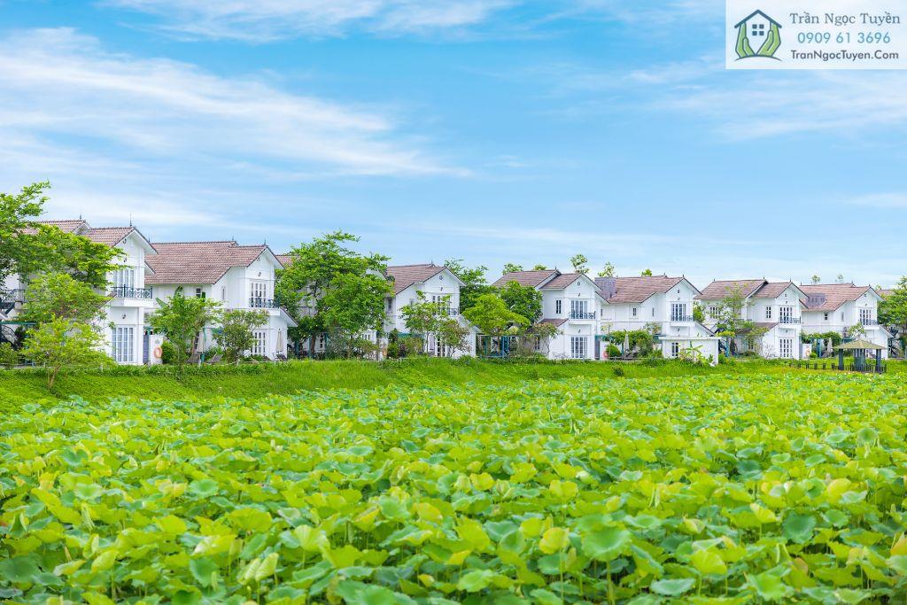 bán lô biệt thự khoáng nóng Vườn Vua mặt hồ siêu đẹp