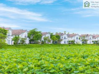 bán lô biệt thự khoáng nóng Vườn Vua mặt hồ siêu đẹp